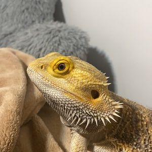 Meet your Posher, Madison